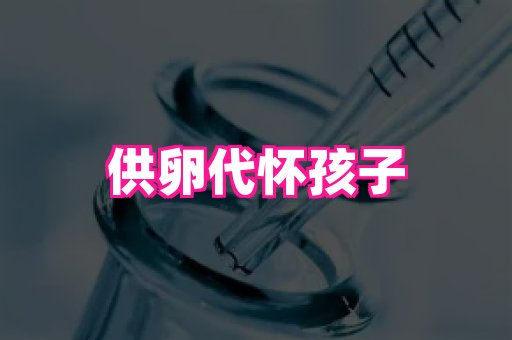 821孕网 3